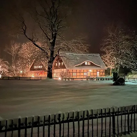 Rotkehlchen Lieper Winkel, Rankwitz *
